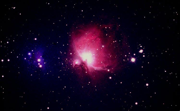 Orion Nebula by Ray Palmer